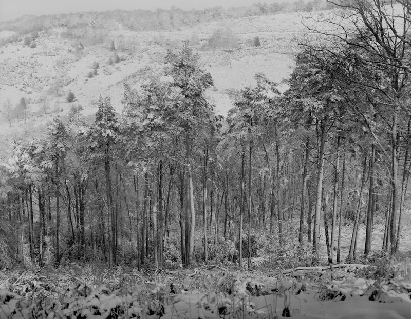 © Ana Zibelnik - Image from the We are the ones turning photography project