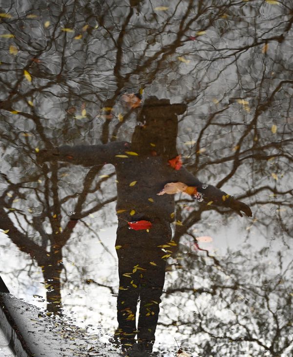 © Danelle Cole - Discovered my own reflection