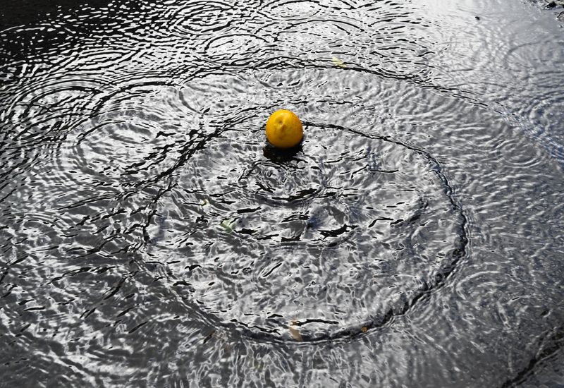 © Danelle Cole - A circle in a circle in a circle!