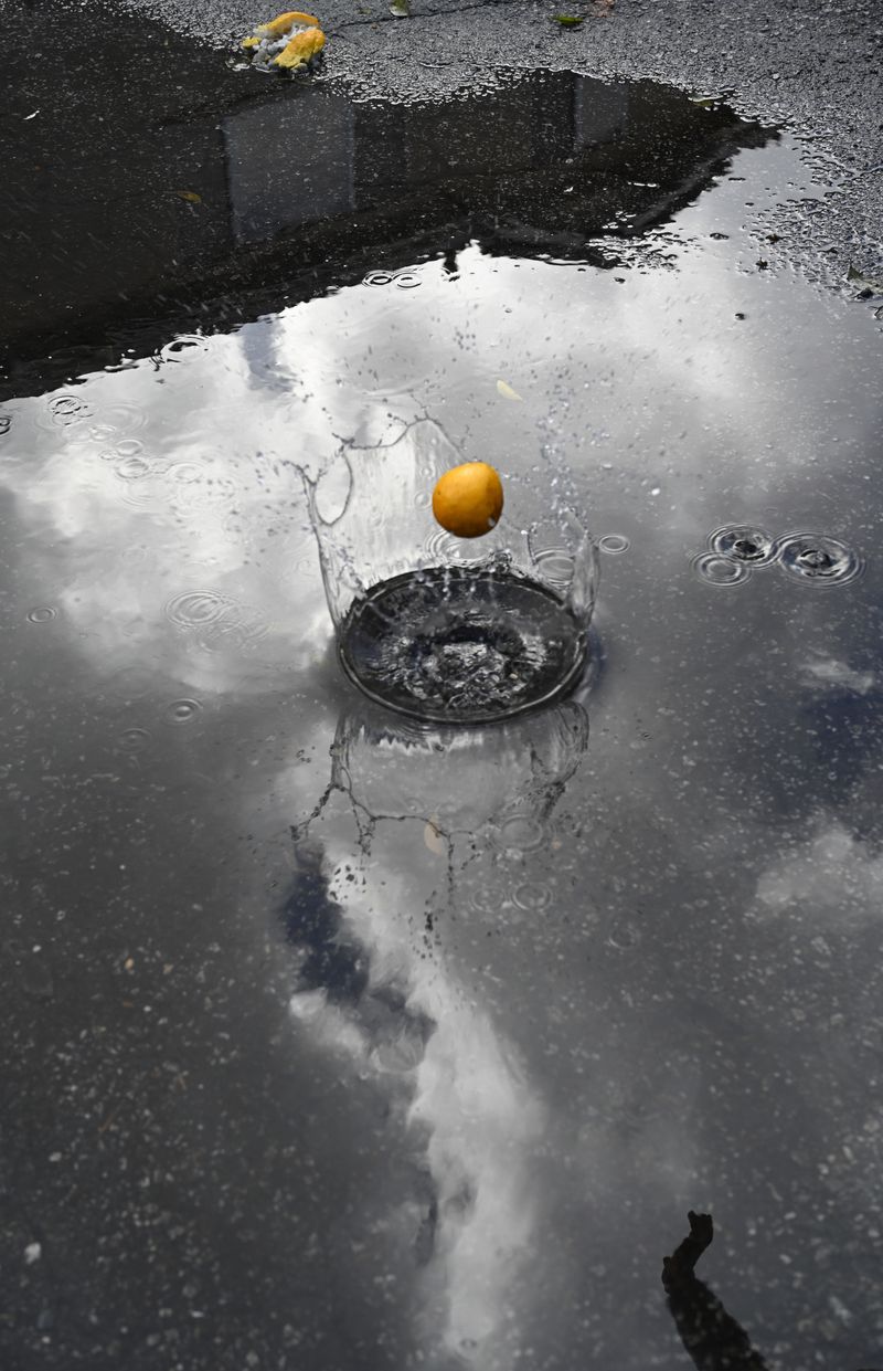 © Danelle Cole - And she threw another lemon