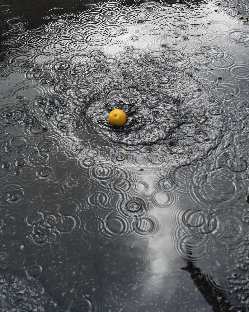 © Danelle Cole - Let’s throw a lemon into a puddle of water