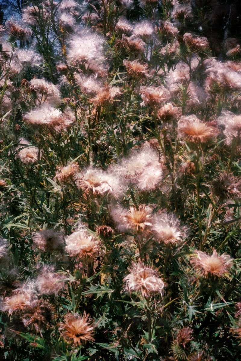 © Alex Domènech - Intimacy is universal, so is hostility. Picture taken in Santpedor, Spain, my hometown, in 2020.