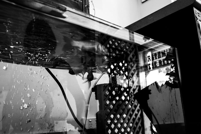 © Ella Paterson - Image from the 坚持不懈 / Perseverance photography project