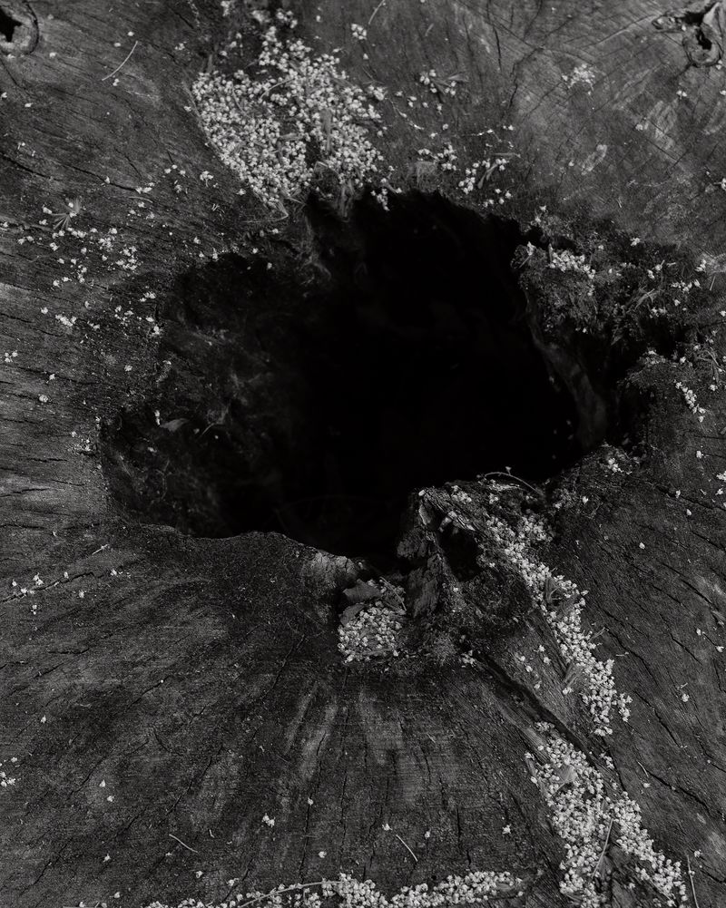 © Michelle Arcila - Image from the You Wouldn't Be So Depressed if You Really Believed in God photography project