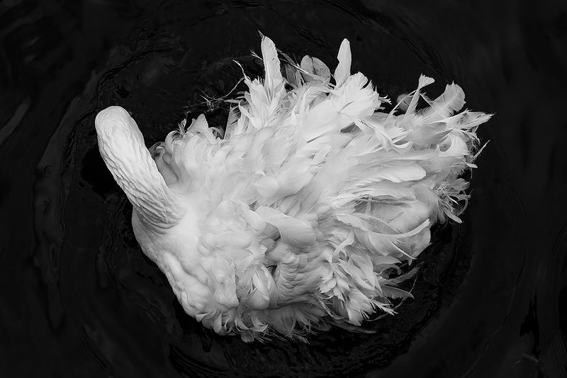 © Michelle Arcila - Image from the You Wouldn't Be So Depressed if You Really Believed in God photography project