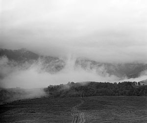 IHIDAYA. According to a Dove on Distant Oaks