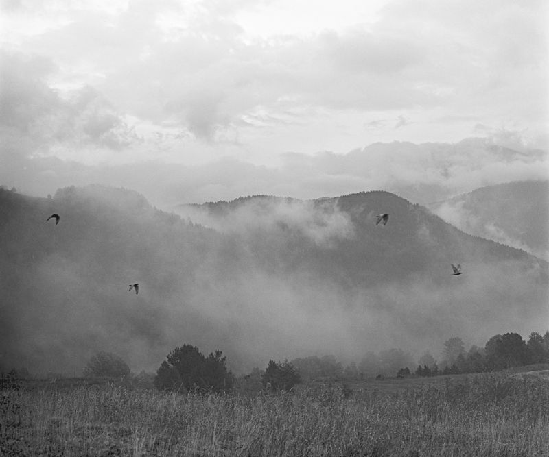 © Birgit Püve - Image from the IHIDAYA. According to a Dove on Distant Oaks photography project