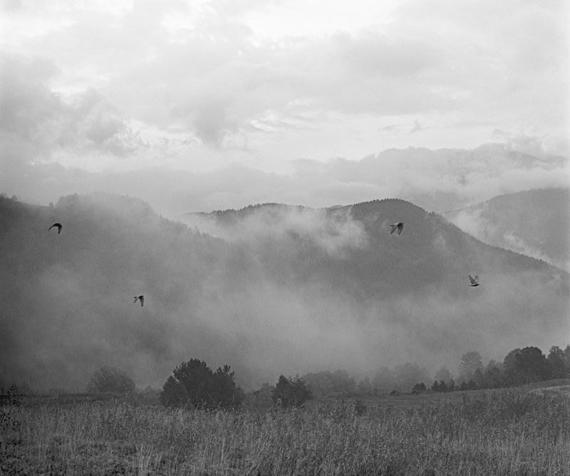 © Birgit Püve - Image from the IHIDAYA. According to a Dove on Distant Oaks photography project