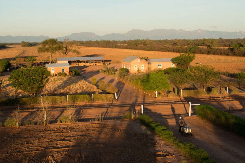 © Jordi Busque - Image from the THE MENNONITES OF BOLIVIA photography project