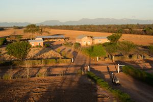 THE MENNONITES OF BOLIVIA