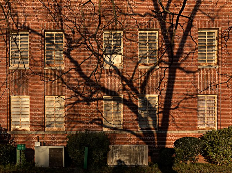 © Jan Banning - Image from the The Verdict: The Christina Boyer Case photography project