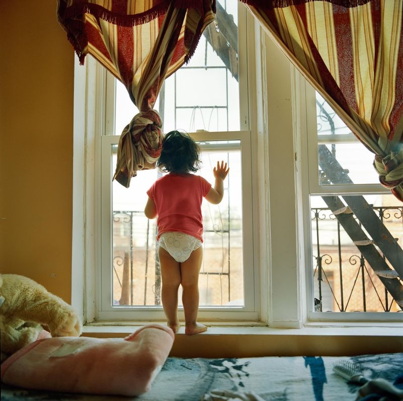 © Ruth Prieto - Lluvia (2) stares at the window. She often likes to climb up the edge of the window and jump into the bed.