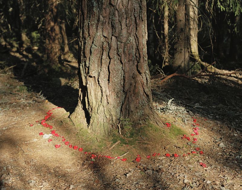 © Elin Berge - Menstrual Wisdom