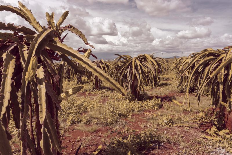 © Denisa Berglova (Bergl) - Image from the Life in Vietnam photography project