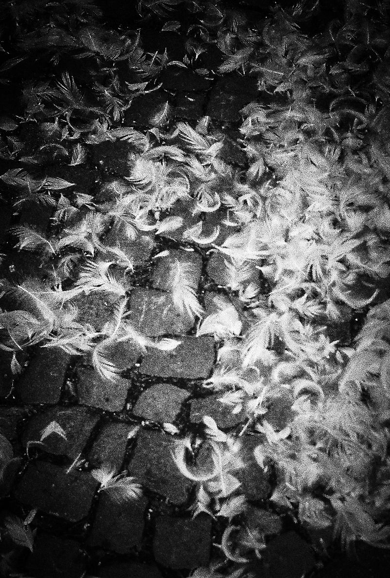 © Sina Muehlbauer - Image from the Connective Tissue photography project