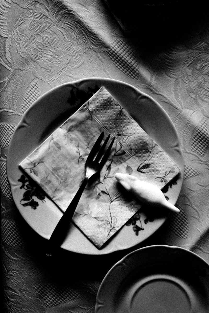 © Sina Muehlbauer - Image from the Connective Tissue photography project
