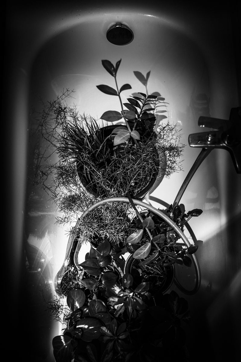 © Sina Muehlbauer - Image from the Connective Tissue photography project