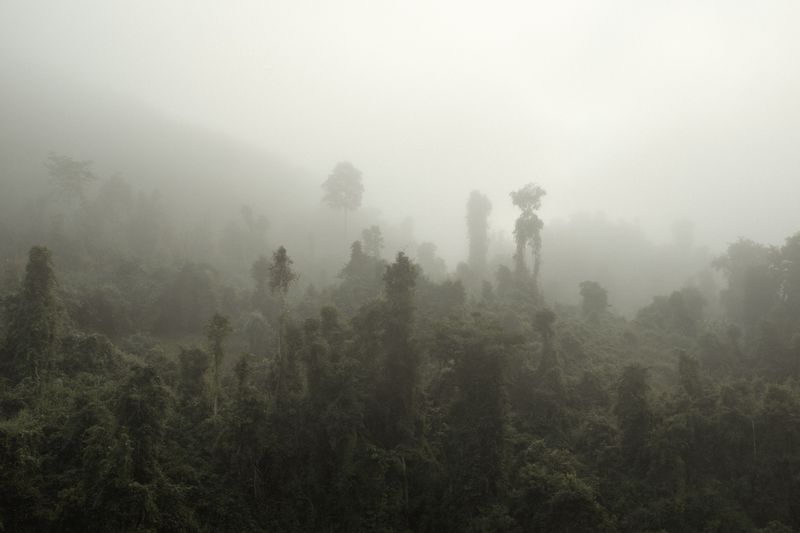 © Nicholas Bosoni - Image from the Woven in Silk photography project
