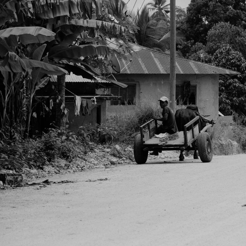© Tobias Klaus - Image from the Pemba Island photography project