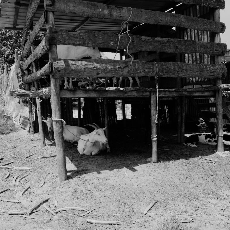 © Tobias Klaus - Image from the Pemba Island photography project