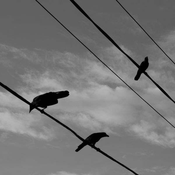 © Tobias Klaus - Image from the Under the Lines photography project