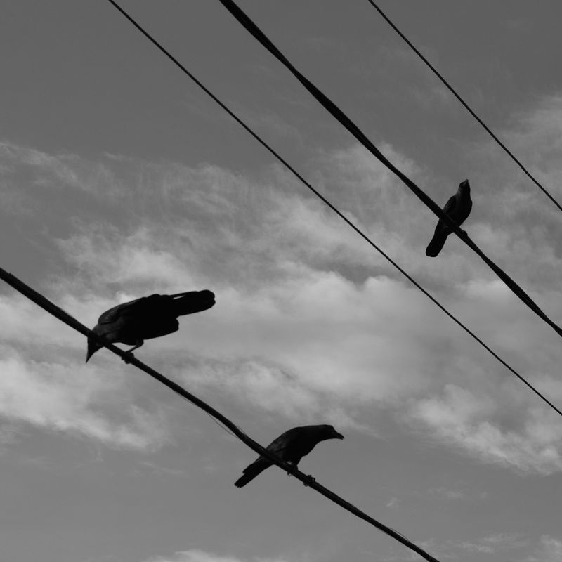 © Tobias Klaus - Image from the Under the Lines photography project