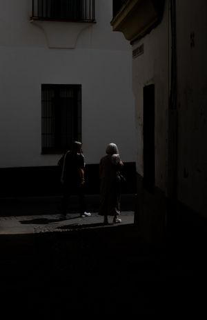 La Sombra del Idioma