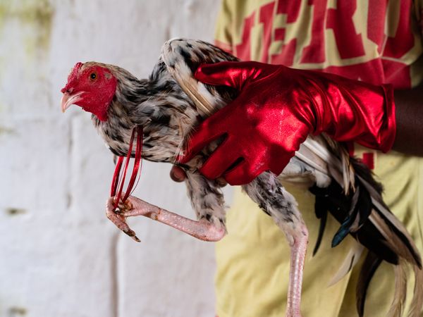 Santiago Escobar-Jaramillo