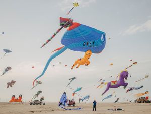 Fotofestiwal Open Call 2024