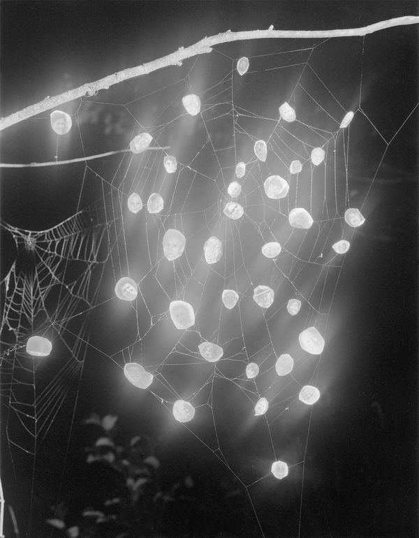 Paul Guilmoth