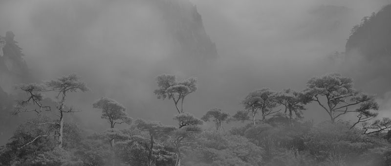 Honghua Shi