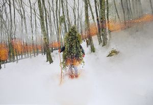 Fotografia Europea 2024