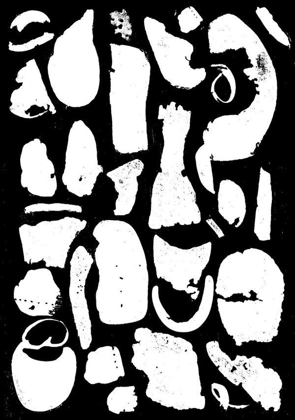 © Elaine Duigenan | Carbon Footprint