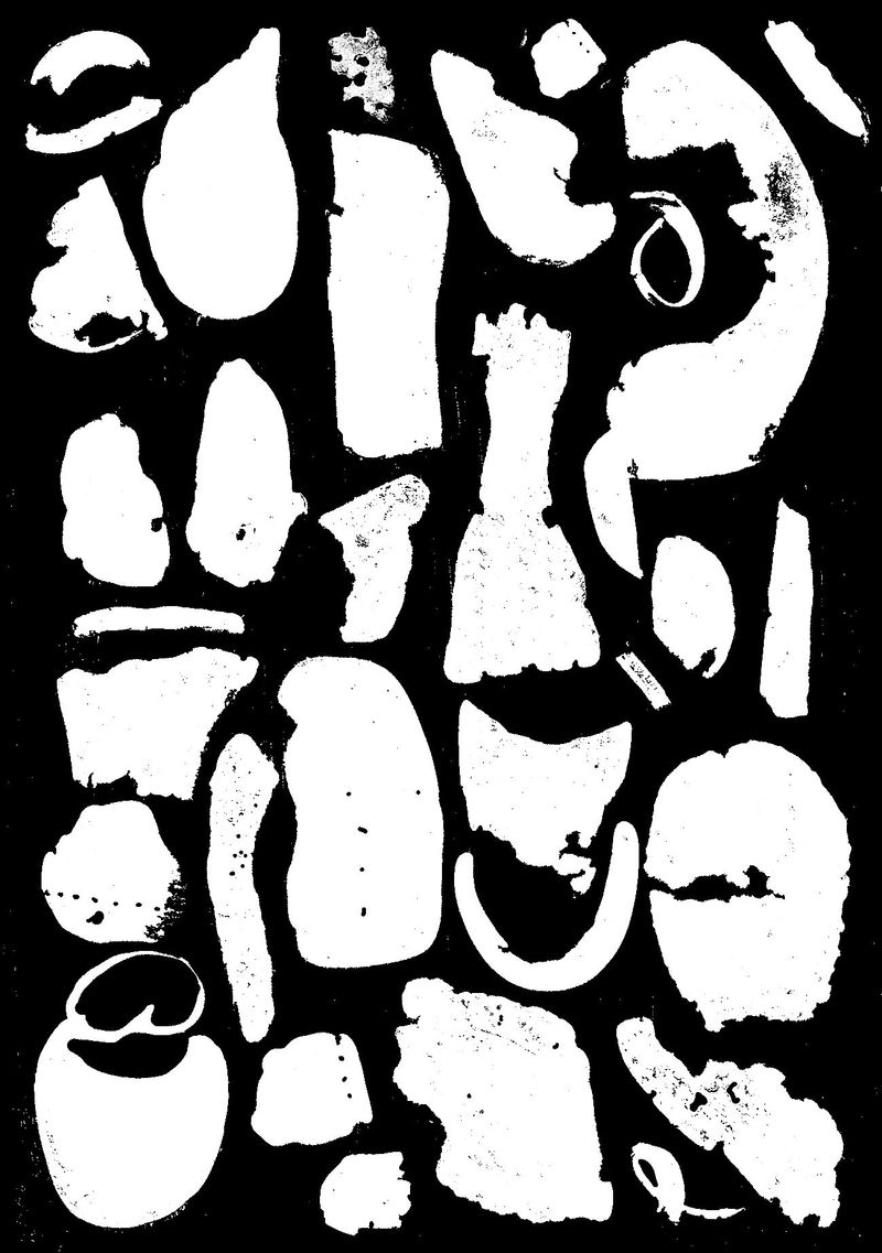 © Elaine Duigenan | Carbon Footprint