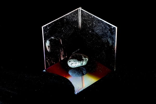 Maria Leonardo Cabrita