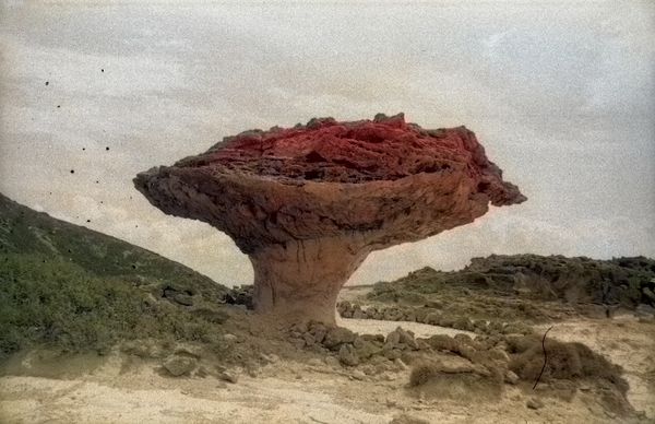 The Present by Pelly Mandreka | Winner 2022