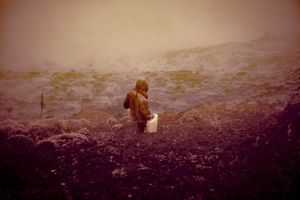 BredaPhoto Festival Open Call 2024