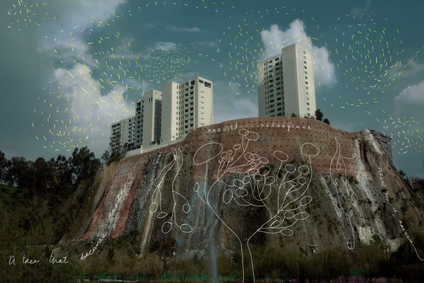 Monica Alcazar-Duarte