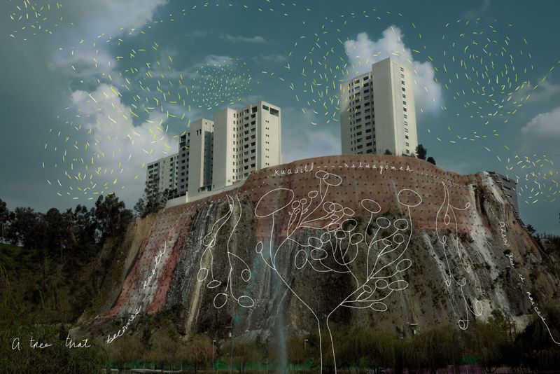 Monica Alcazar-Duarte