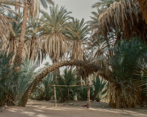 Seif Kousmate