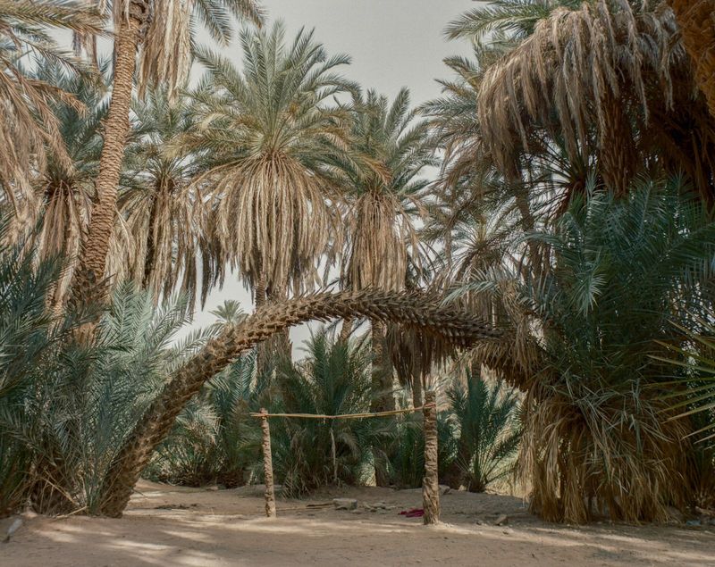 Seif Kousmate