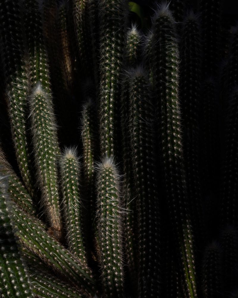 Anne Gabriel-Jürgens | special mention 2020