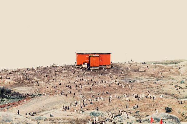 Ma cabane au Pôle Sud © Olivier Goy