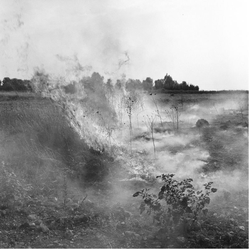 Giammario Corsi