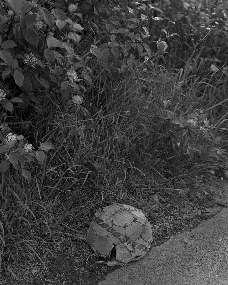 © Sadie Catt - Image from the Beekeeper photography project