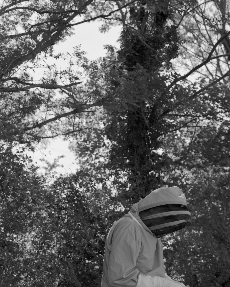 © Sadie Catt - Image from the Beekeeper photography project