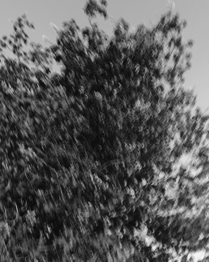 © Sadie Catt - Image from the Beekeeper photography project