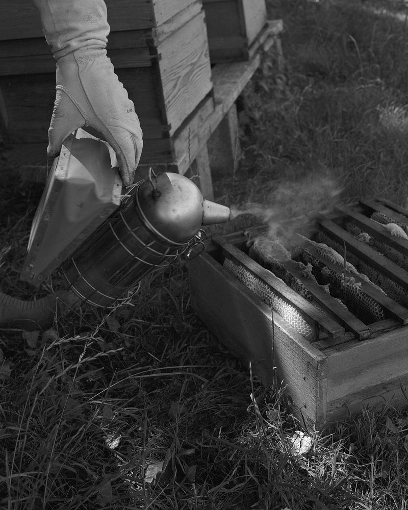 © Sadie Catt - Image from the Beekeeper photography project