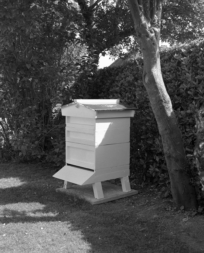 © Sadie Catt - Image from the Beekeeper photography project
