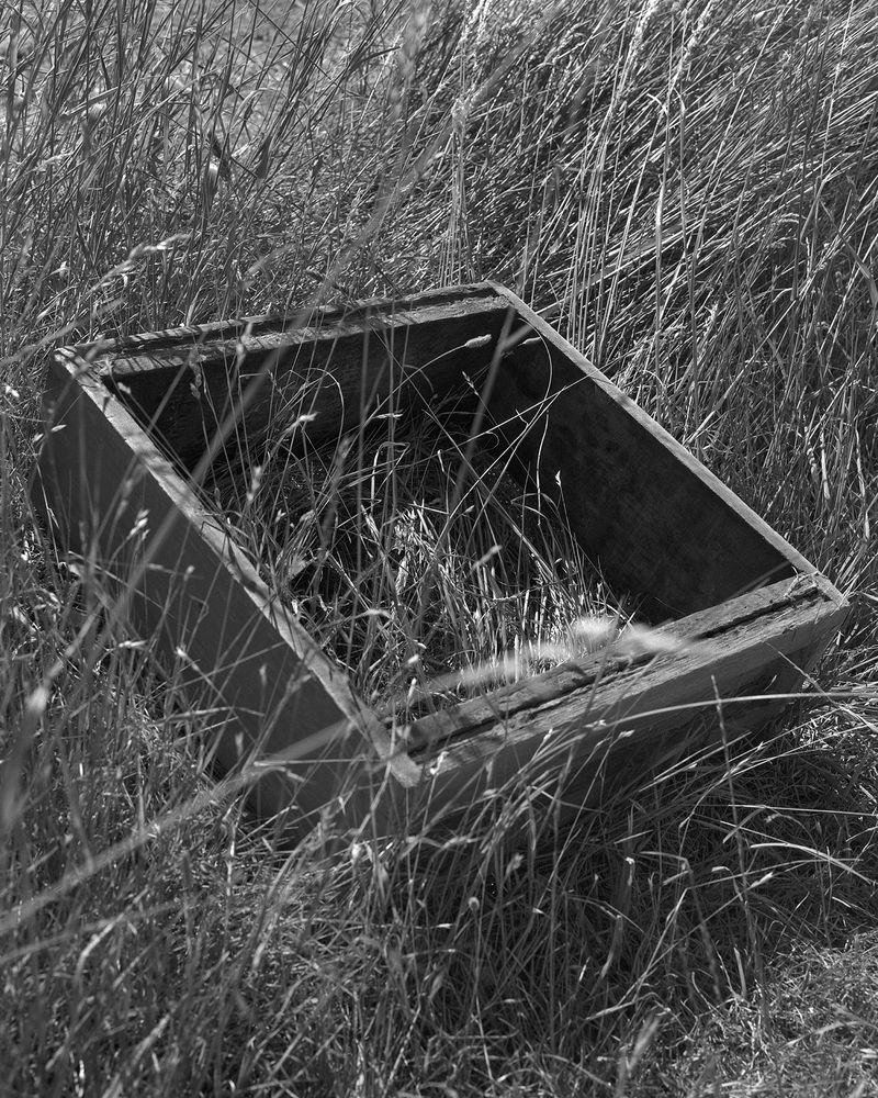 © Sadie Catt - Image from the Beekeeper photography project